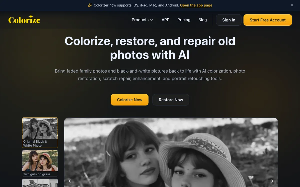 ImageColorizer homepage screenshot