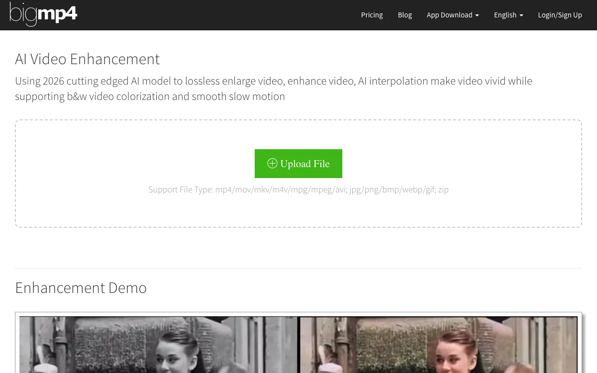 bigmp4 homepage screenshot
