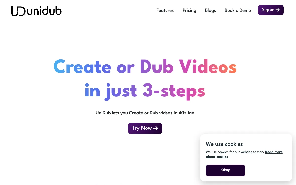 UniDub homepage screenshot