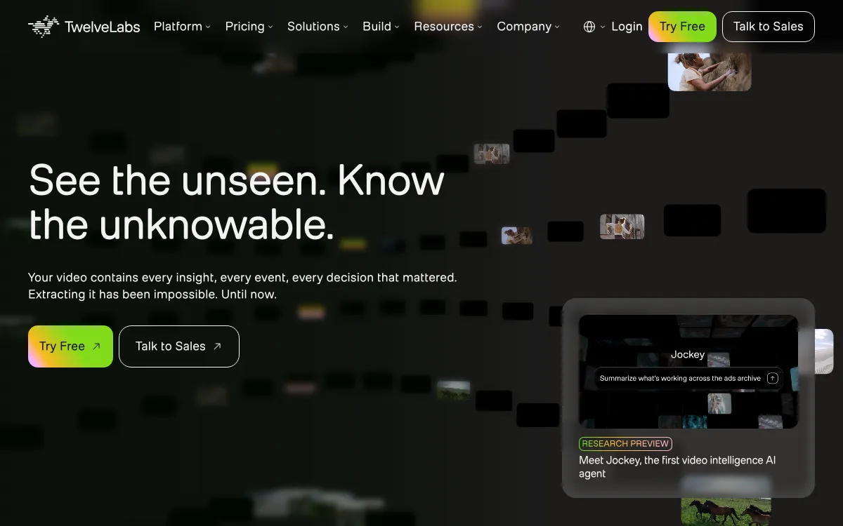 Twelve Labs homepage screenshot