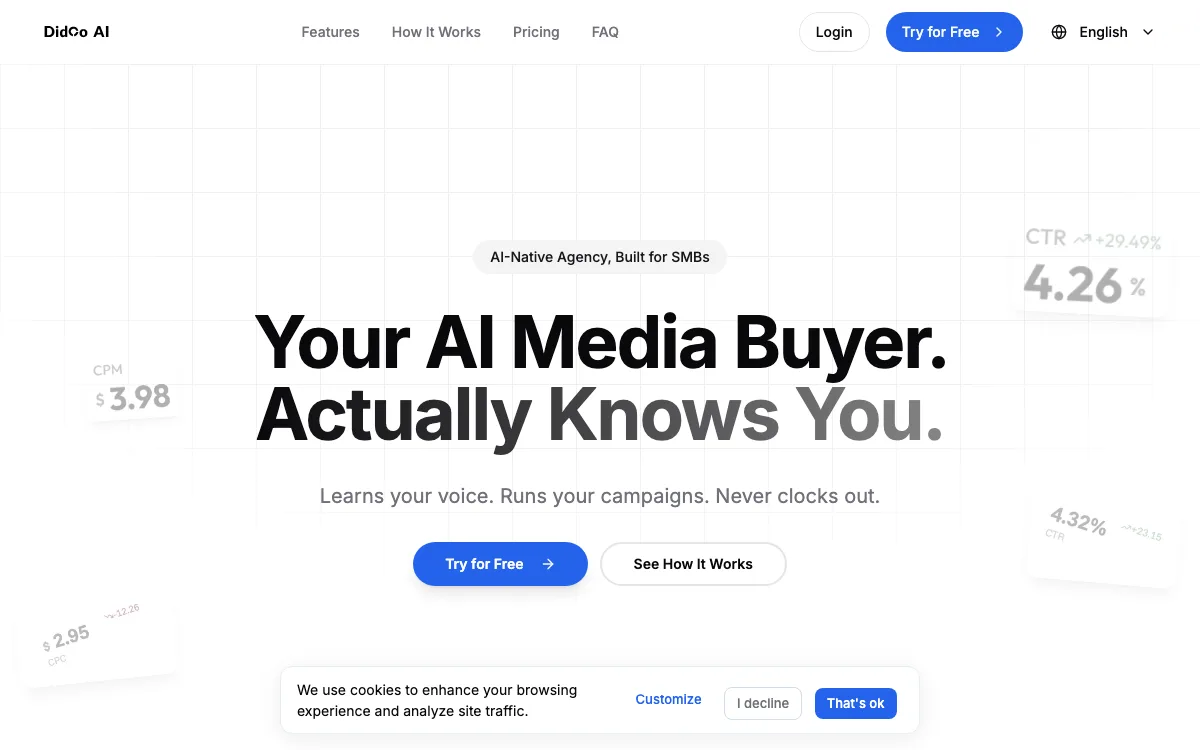 Didoo AI homepage screenshot
